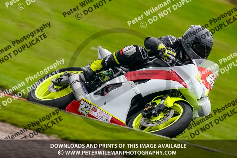 anglesey;brands hatch;cadwell park;croft;donington park;enduro digital images;event digital images;eventdigitalimages;mallory;no limits;oulton park;peter wileman photography;racing digital images;silverstone;snetterton;trackday digital images;trackday photos;vmcc banbury run;welsh 2 day enduro